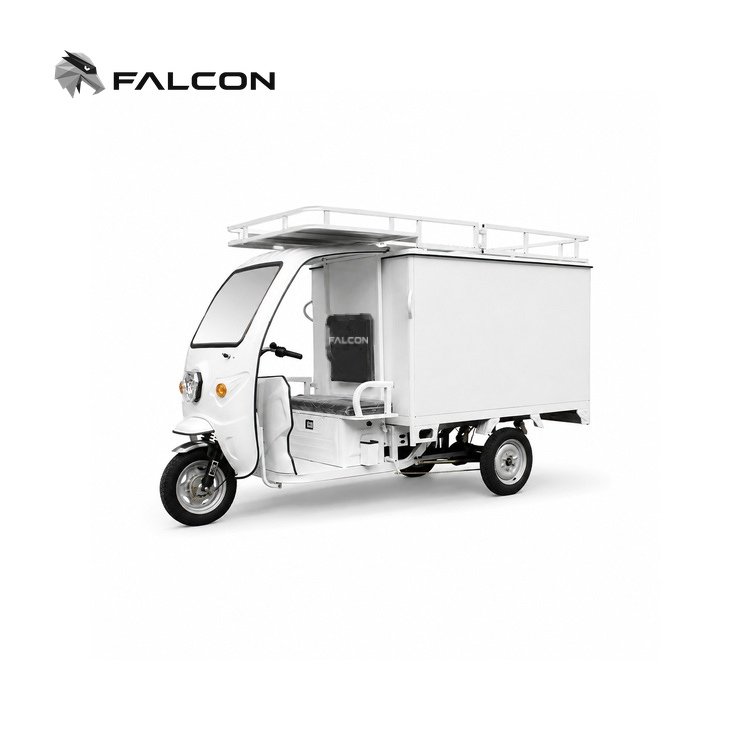Roof-Rack Enclosed Electric Delivery Tricycle